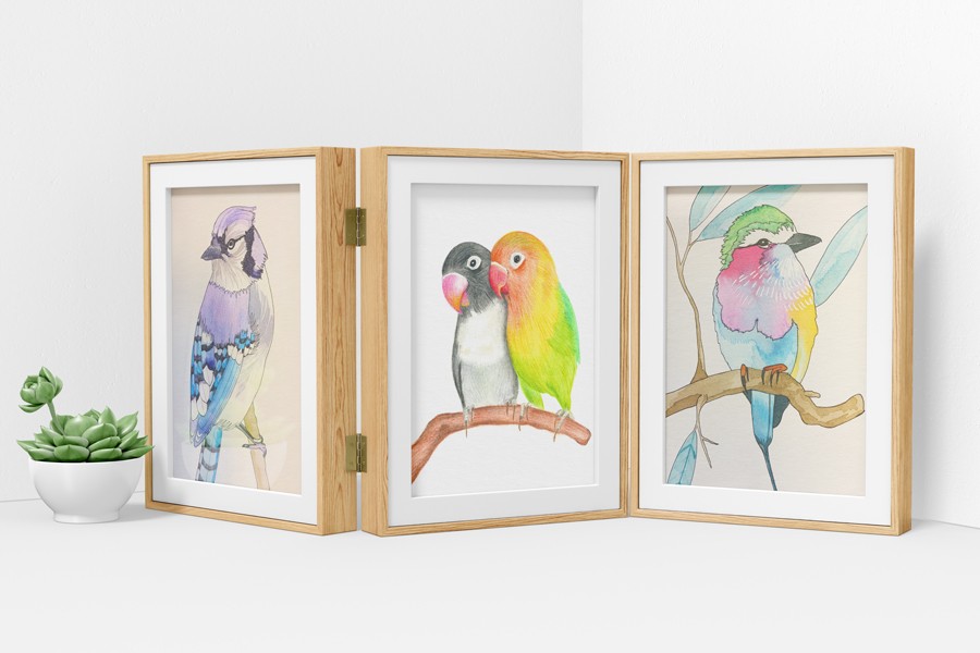 Other arts – parakeets